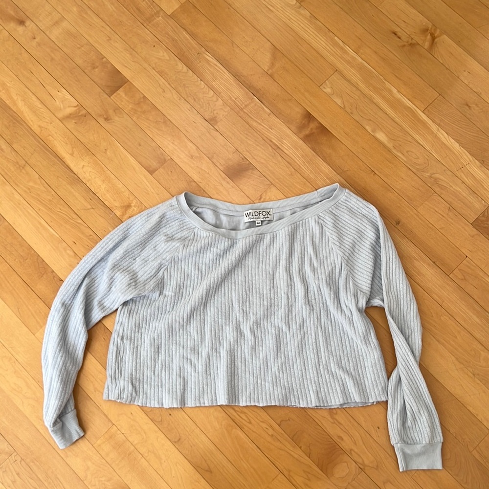 Wildfox Blue crop sweater